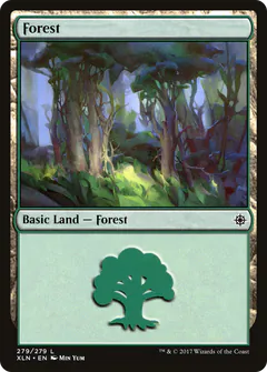 Forest
